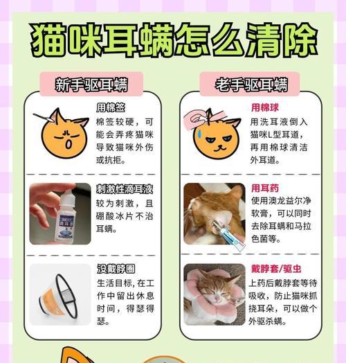 猫咪有耳螨怎么办（了解耳螨症状）