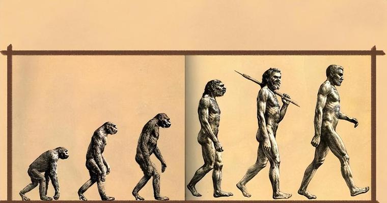第一个人类的诞生（从单细胞到古猿-人类进化的历程）