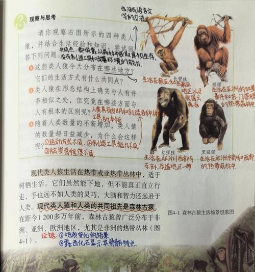 第一个人类的诞生（从单细胞到古猿-人类进化的历程）