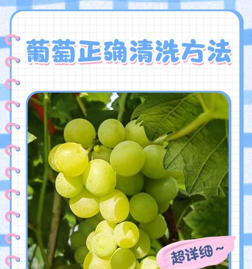 如何正确洗葡萄（轻松掌握清洗方法）