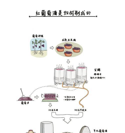 葡萄酒酿制方法全解析（从葡萄采摘到酿制）