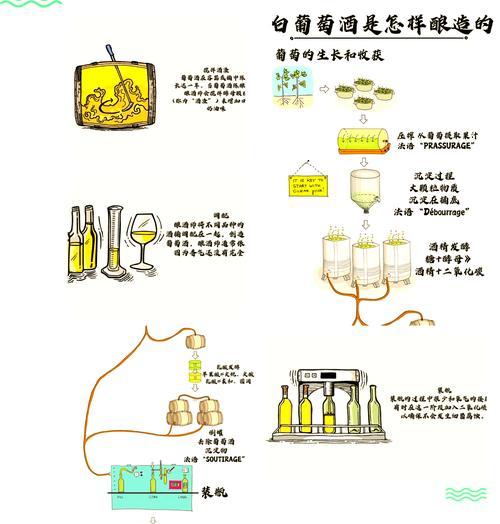 葡萄酒酿制方法全解析（从葡萄采摘到酿制）