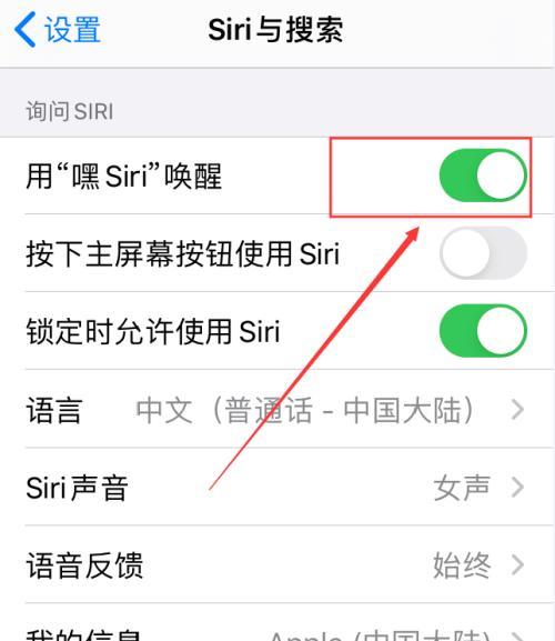 苹果手机seirui功能如何启用？