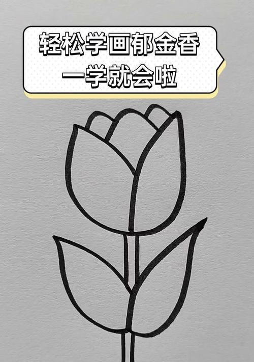 如何轻松画出美丽的郁金香（学习如何简单快捷地画出美丽的郁金香）