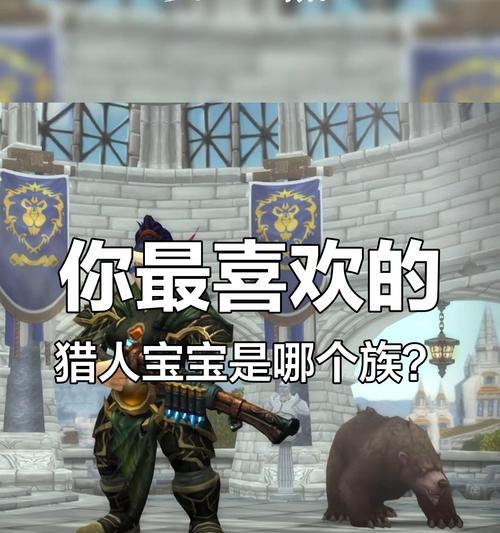 wow猎人稀有宝宝排行揭秘（以收集稀有宝宝为乐的你）