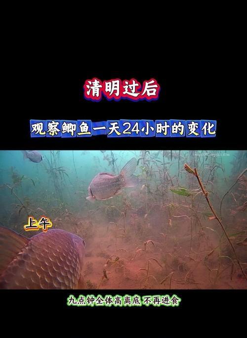 魔兽世界中鱼逃走后怎么办？如何预防此类事件发生？