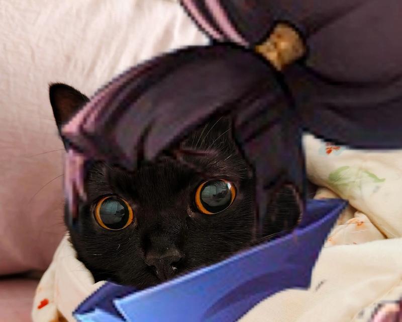 英雄联盟猫追人玩法是什么？技巧有哪些？